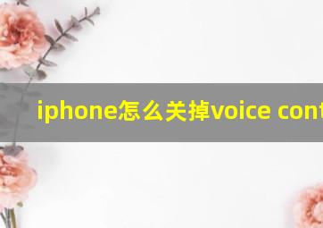 iphone怎么关掉voice control